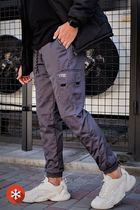 Warm Cargo Pants. Trousers, pants. Color: gray. #8048867